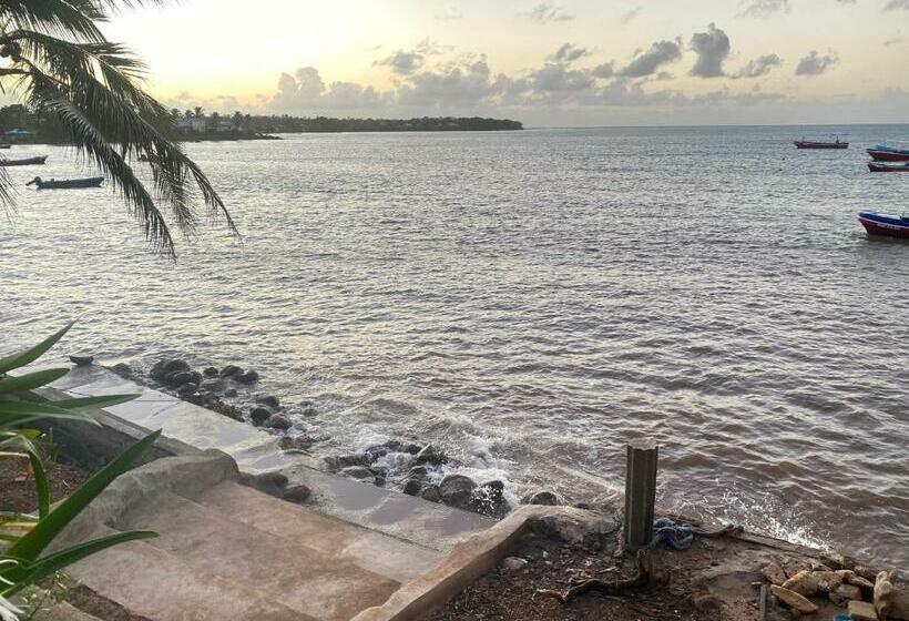 צימר Las Palmeras Oceanview Hotel And Dive Center