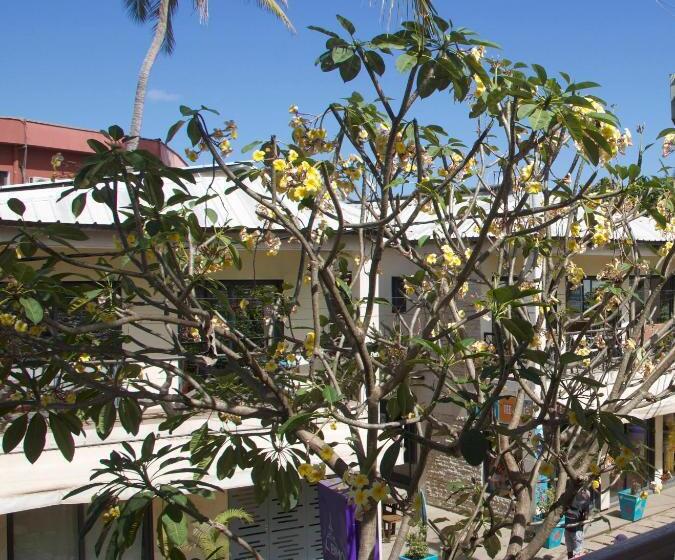 Hotel Hôtel Résidence Sarimanok