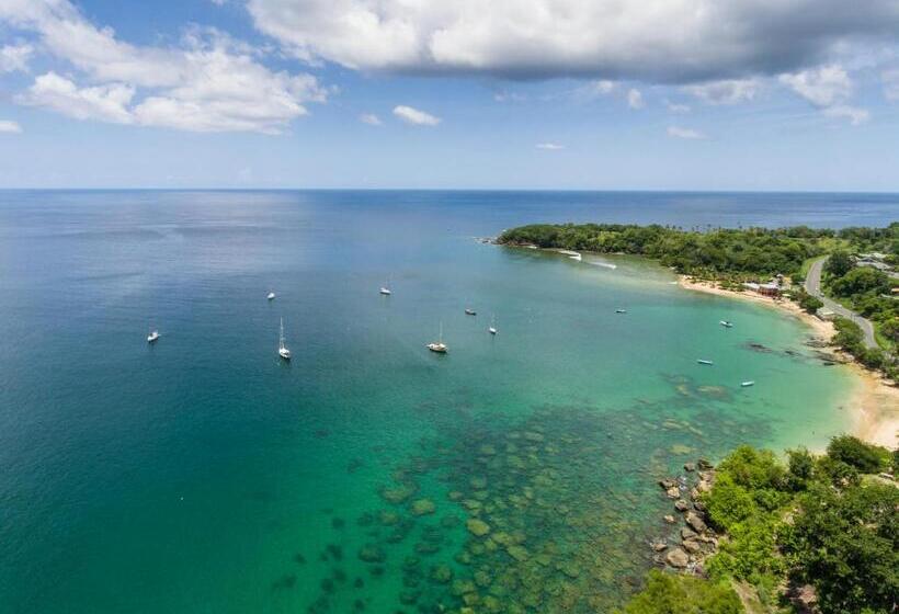 هتل Mount Irvine Bay Resort