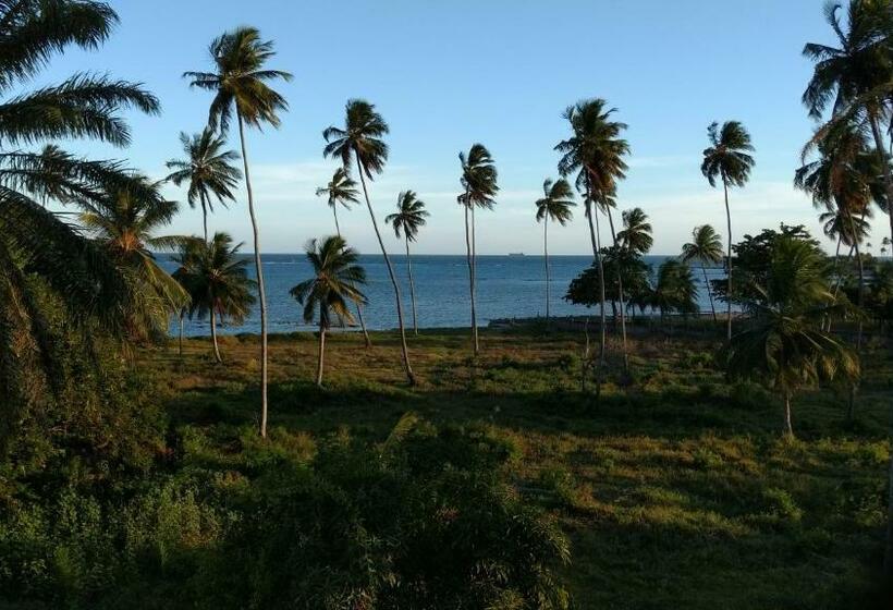 Ilha Dos Corais