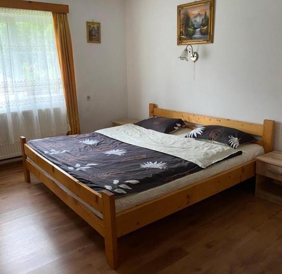 Pensiunea Puiu