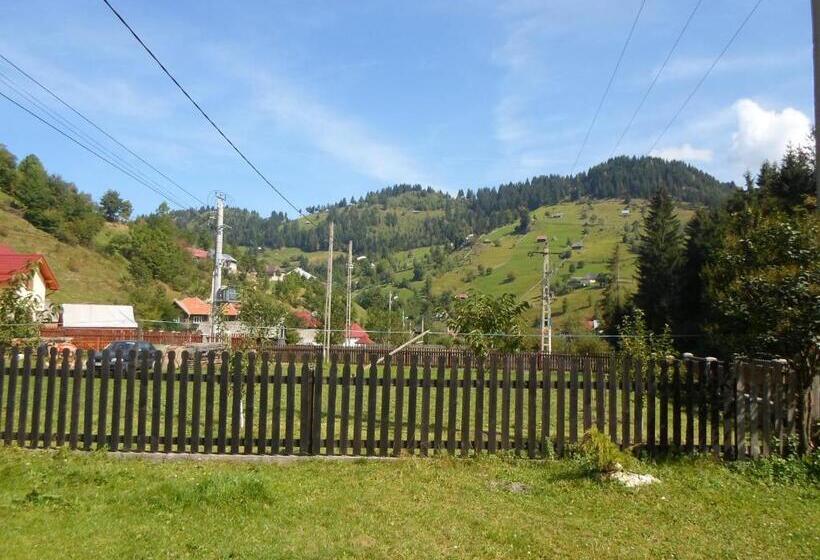 Pensiunea Puiu