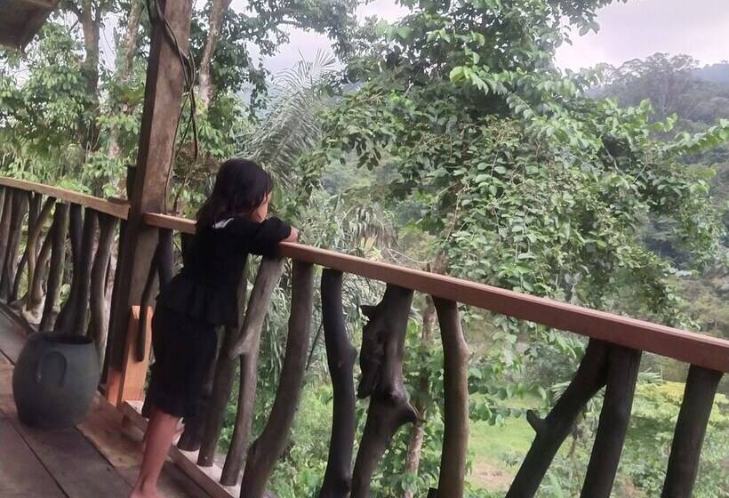 호스텔 Mountain View Cottages & Villa Tangkahan