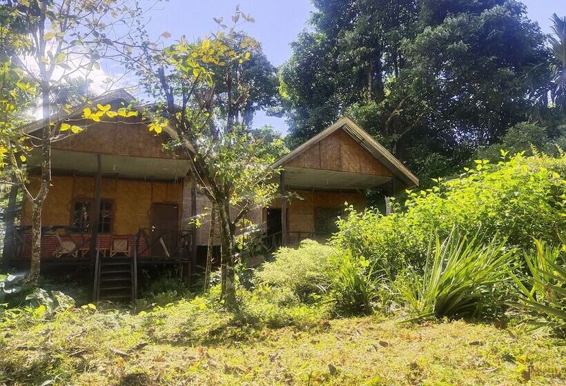 旅馆 Mountain View Cottages & Villa Tangkahan