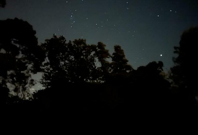 مبيت وإفطار South Lodge House