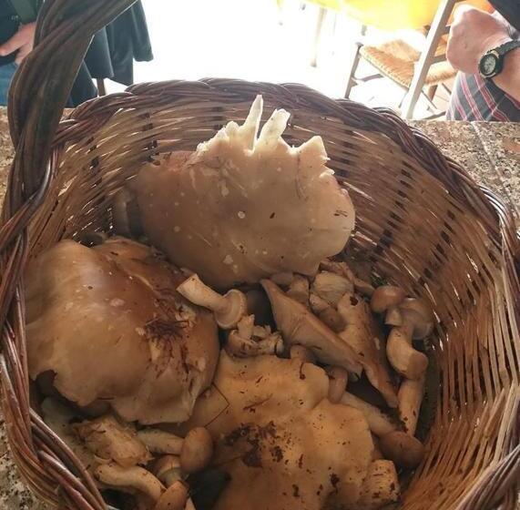 فندق Azienda Agrituristica Le Prunelle