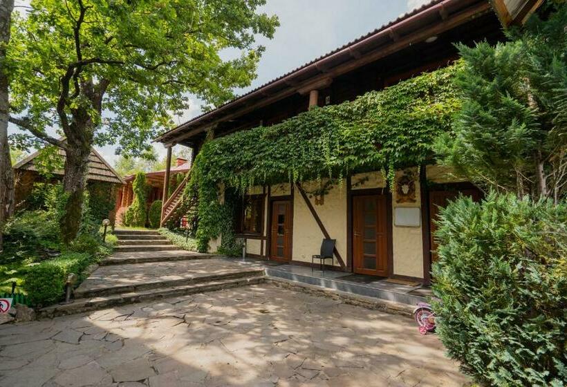 Отель Villa Garden