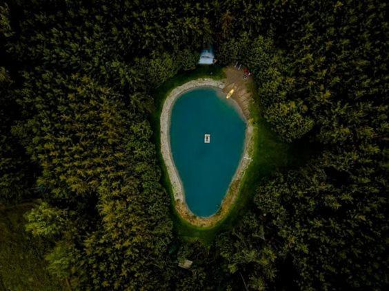 פנסיון A Rustic Cabin In The Woods