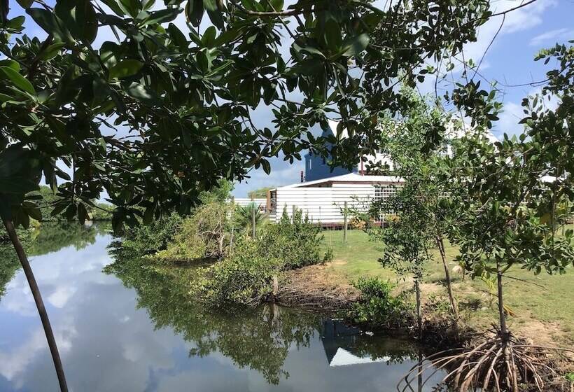 تختخواب و صبحانه The Bnb On Triggerfish Close To The Airport