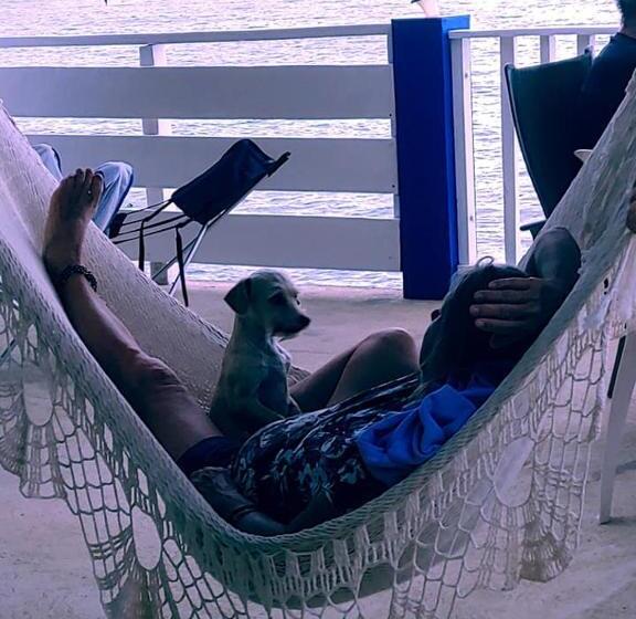 فندق Treasure By The Sea Resort   Happy Hill