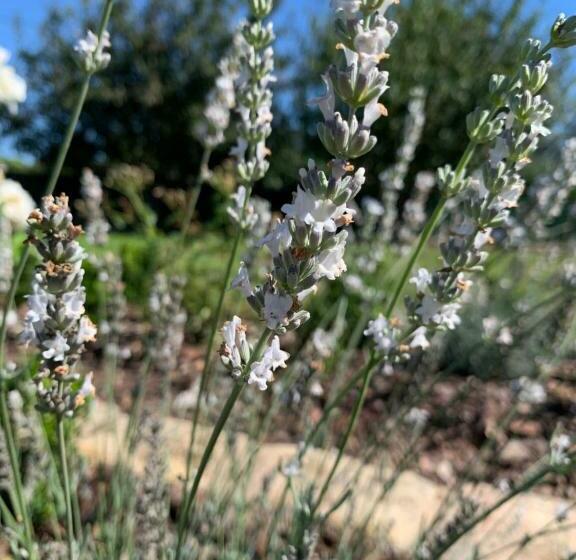 住宿加早餐  Le Ch’ti Breizh Home
