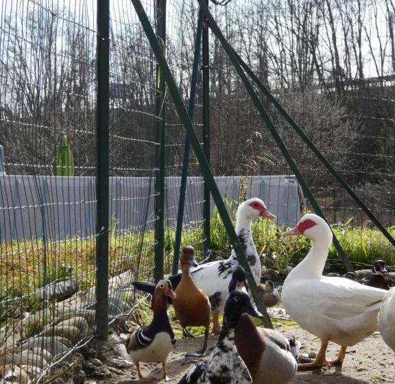 酒店 Agriturismo Why Farm