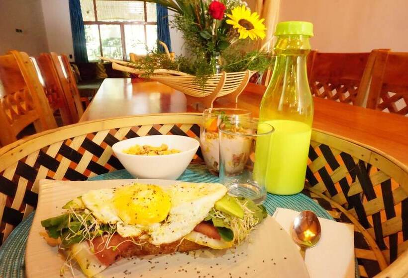 פנסיון Room In Guest Room  Room With Jacuzzi, Vacation Spa House With Turkish Bath