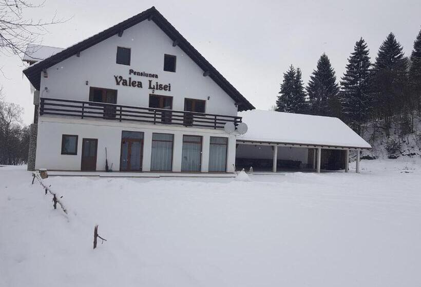 Pensiunea Valea Lisei