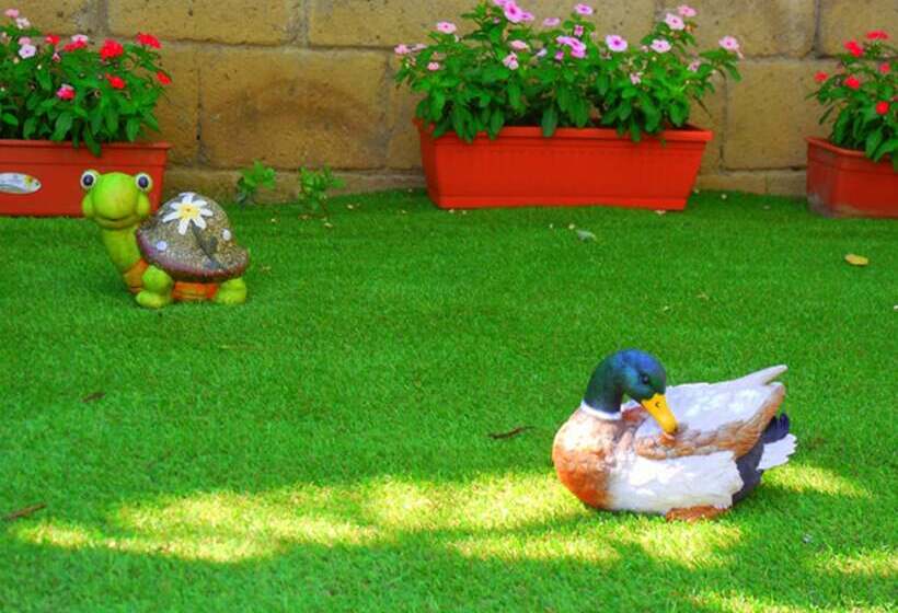 בית מלון כפרי Fiori D Arancio