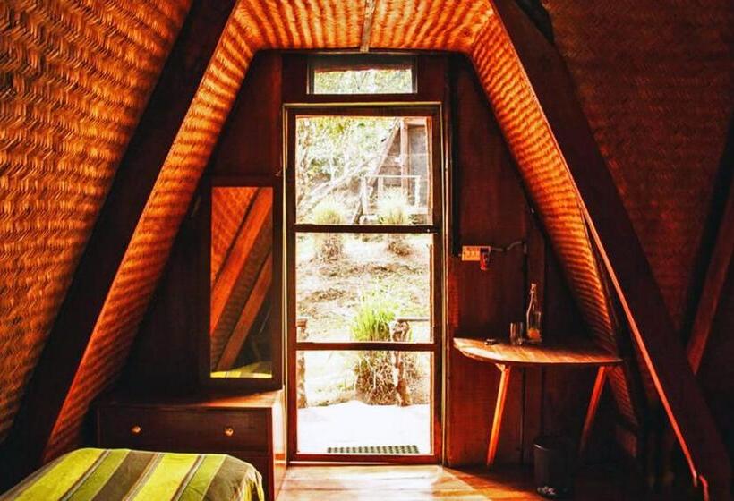 渡假胜地  Turtle Pond Home Stay