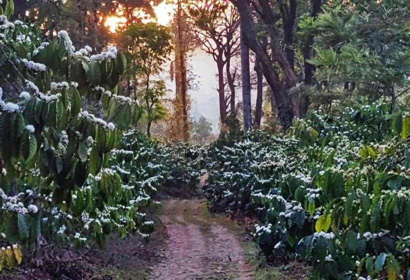 渡假胜地  Turtle Pond Home Stay