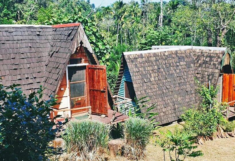 渡假胜地  Turtle Pond Home Stay