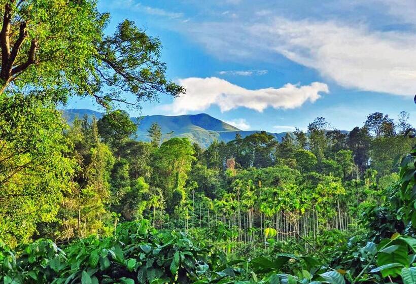 渡假胜地  Turtle Pond Home Stay