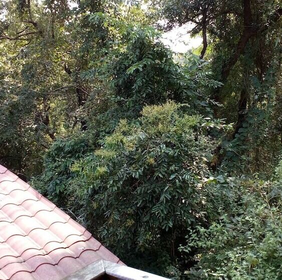 فندق Castle House Palolem