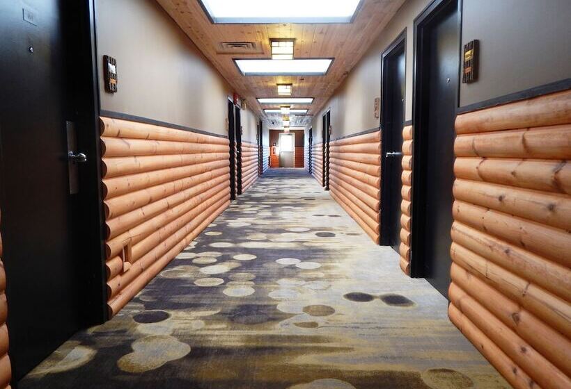 فندق Copper River Inn