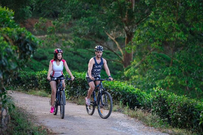 ホテル Fragrant Nature Munnar A Five Star Classified