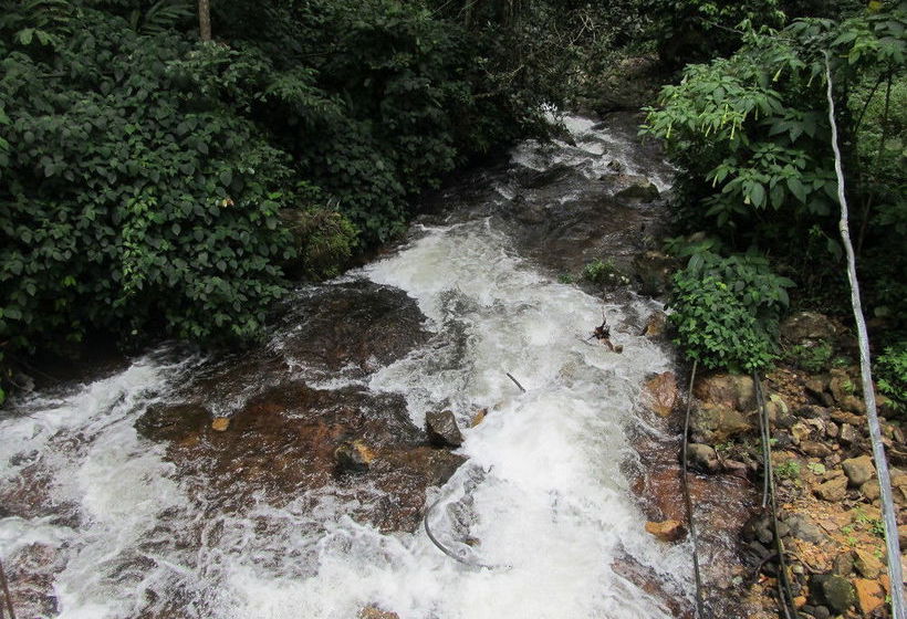 Hotel Neelakurunji Plantation Munnar