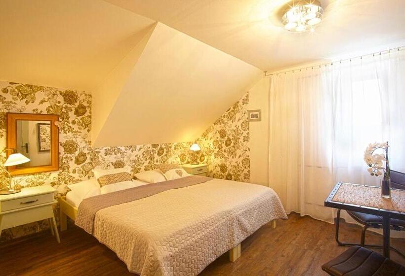 هتل Penzion Kostnický Dům