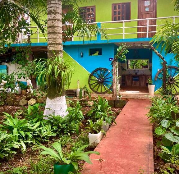هاستل Yaxche Centro Hostal Y Camping
