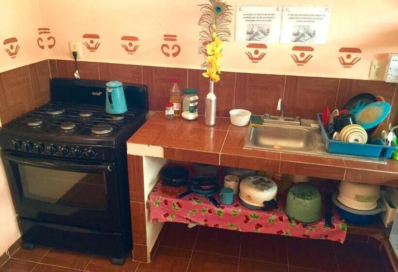 هاستل Yaxche Centro Hostal Y Camping