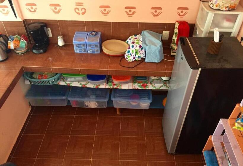 هاستل Yaxche Centro Hostal Y Camping