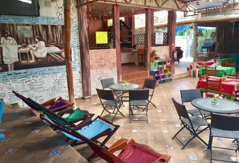 هاستل Yaxche Centro Hostal Y Camping