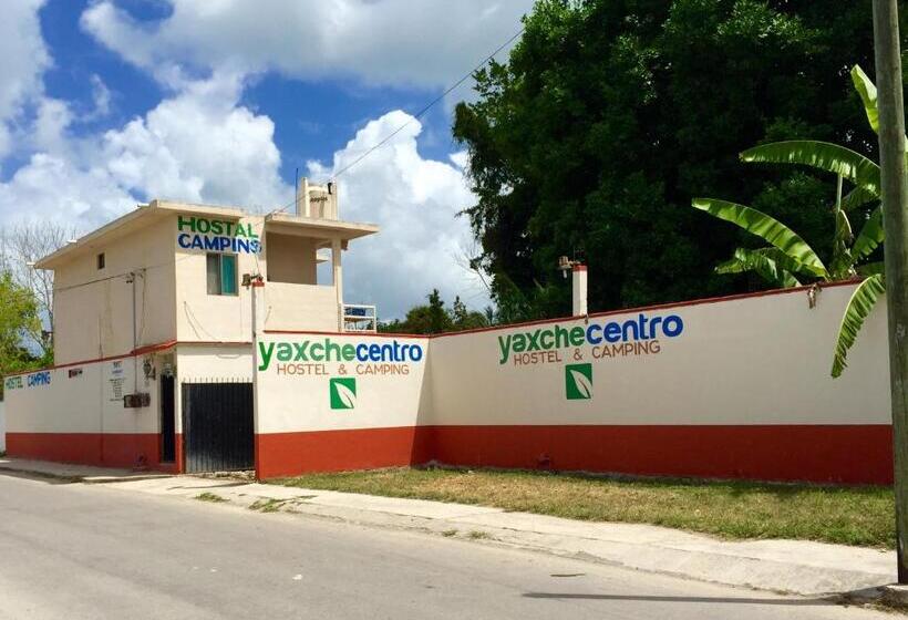 هاستل Yaxche Centro Hostal Y Camping