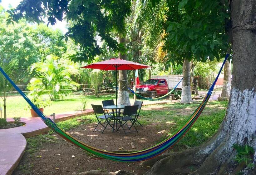 هاستل Yaxche Centro Hostal Y Camping