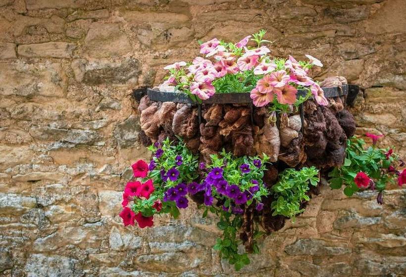 Bed and Breakfast High Paradise Farm