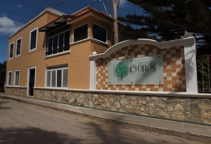 فندق Los Cedros Uayamon