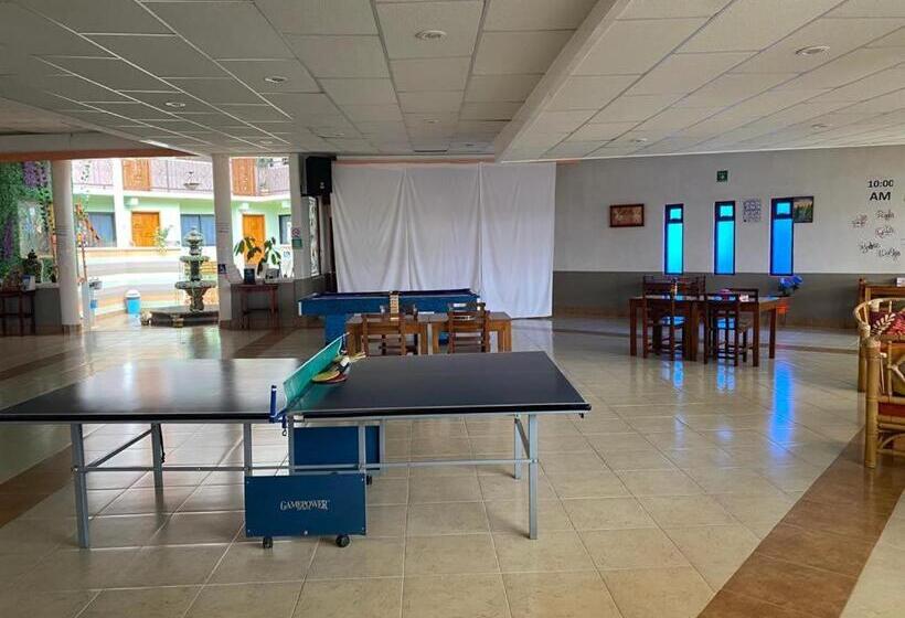 فندق Tres Flores