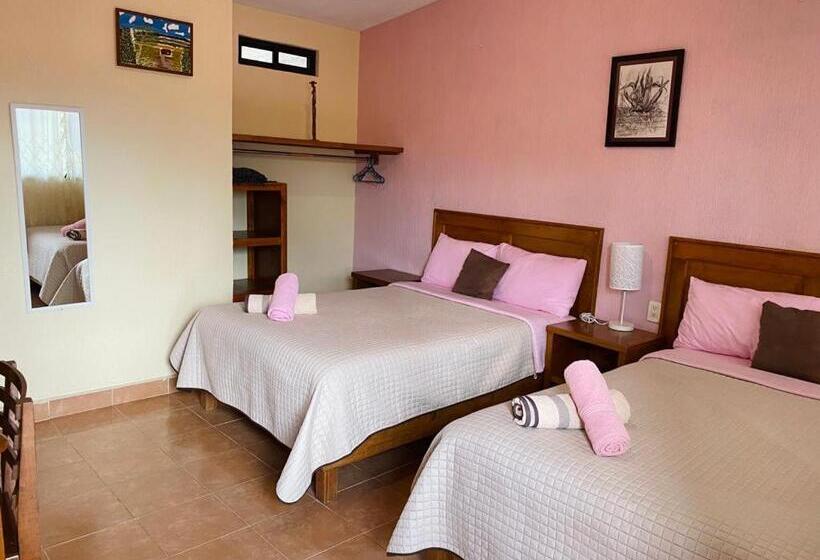 فندق Tres Flores