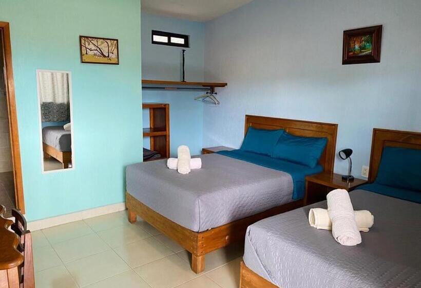 فندق Tres Flores