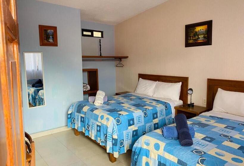 فندق Tres Flores