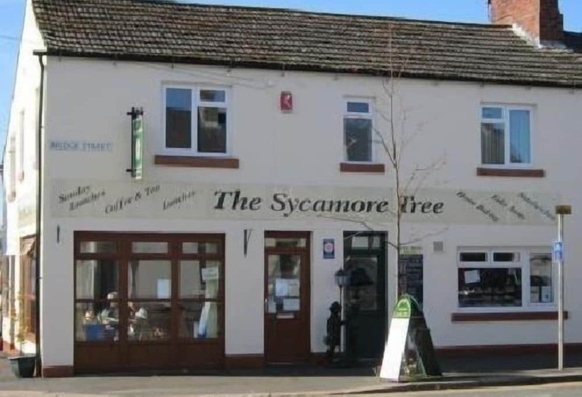 مبيت وإفطار The Sycamore Tree