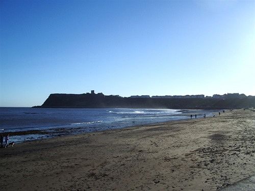 בית מלון כפרי The Albert