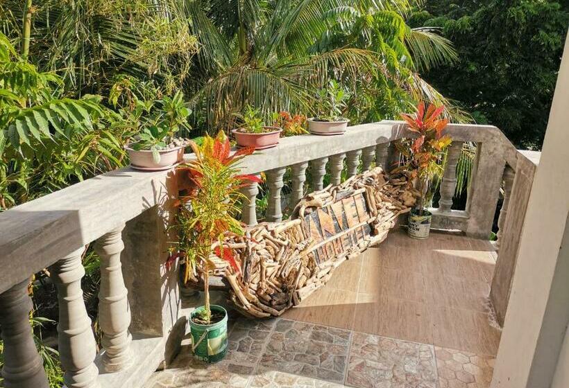 بنسيون Anvel Homestay