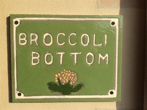 تختخواب و صبحانه Broccoli Bottom