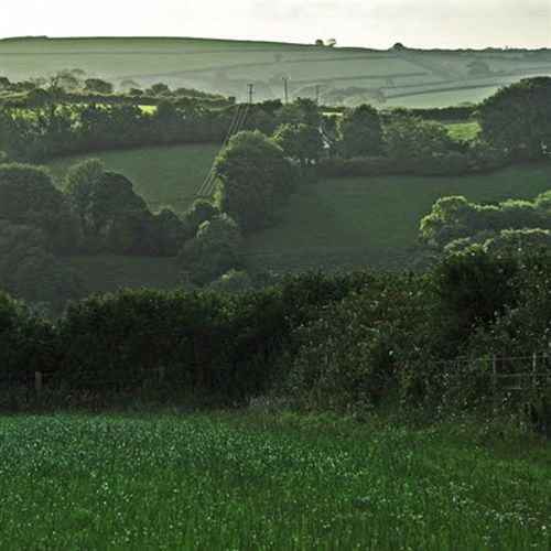 בית מלון כפרי Dorset Farm