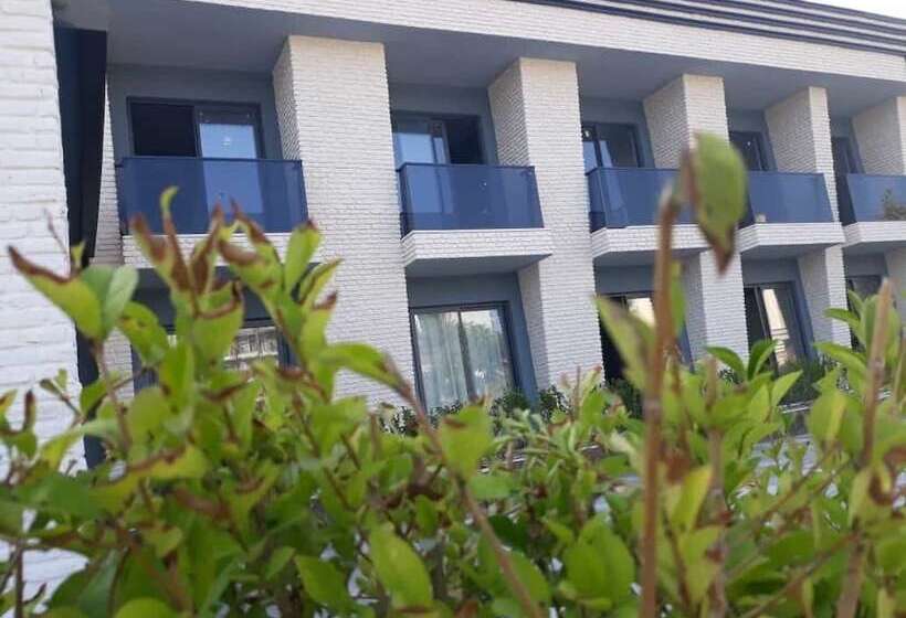 هتل Dedeman Kemer Resort   Ultra All Inclusive