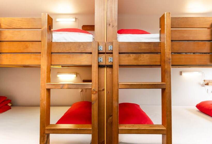 هاستل Haka House Bay Of Islands