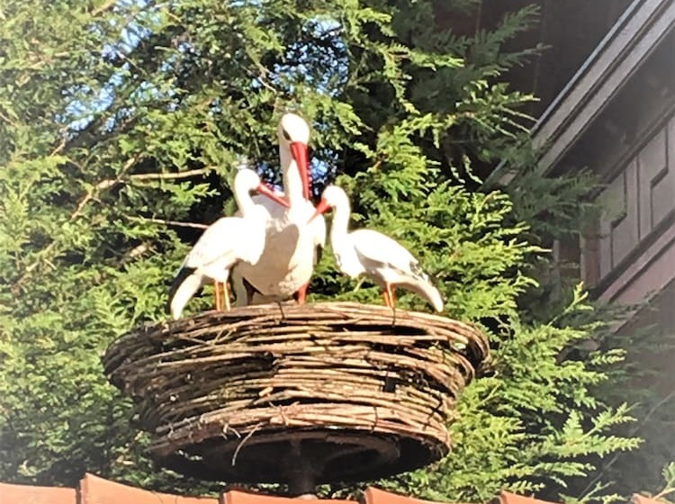 酒店 Le Mandelberg