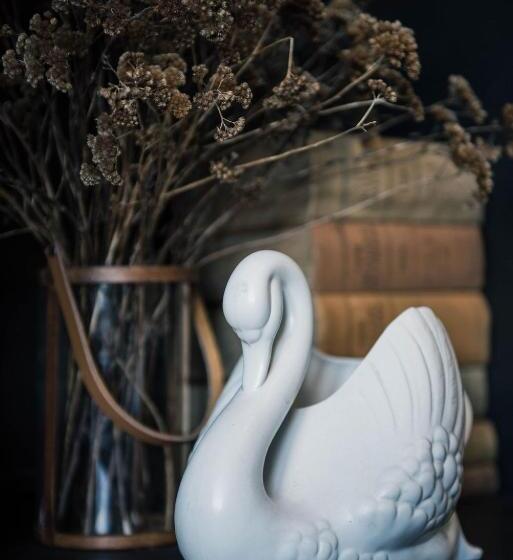فندق The White Swan