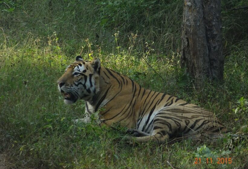 ホテル Windsor Tiger Resort
